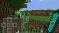 Use shield (Image via Minecraft)
